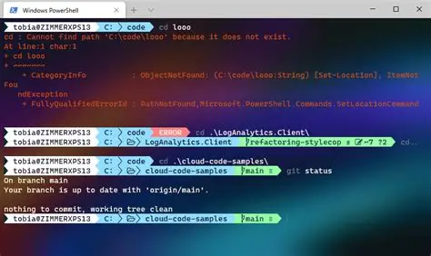 Make Your Terminal Beautiful: Install Oh My Posh + Auto Suggestions on Windows