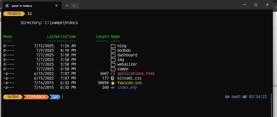 Make Your Terminal Beautiful: Install Oh My Posh + Auto Suggestions on Windows